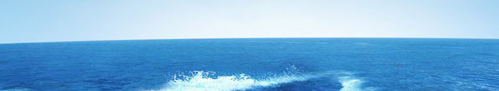 Easun shoes banner 2
